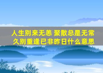 人生别来无恙 聚散总是无常 久别重逢已非昨日什么意思